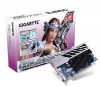 Gigabyte GV-R455D3-512I